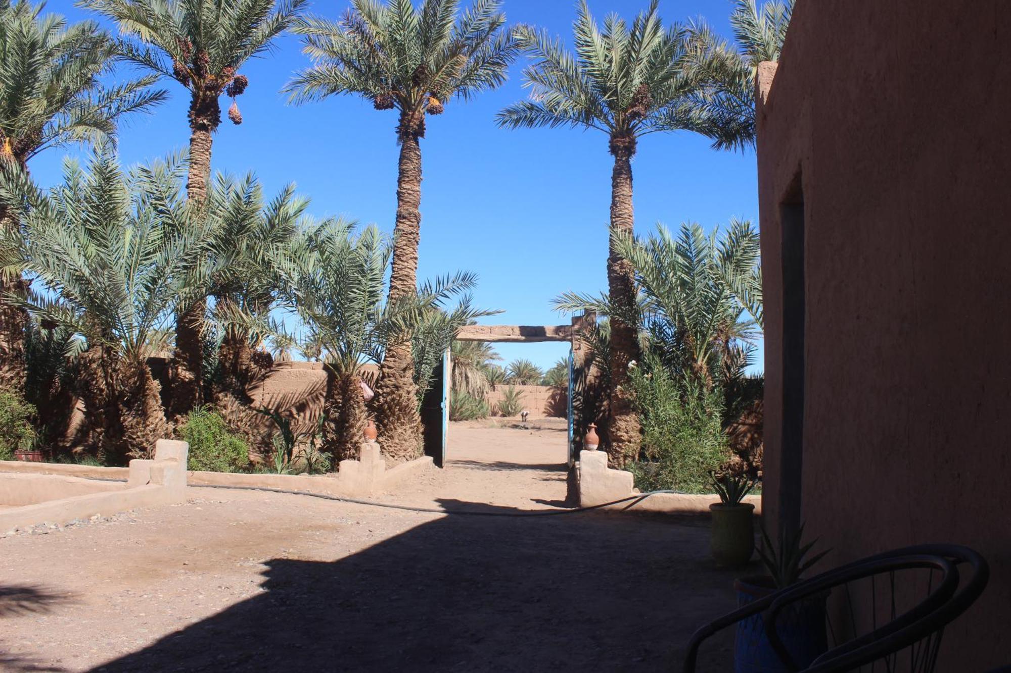Kasbah Desert Camp M'Hamid Exteriér fotografie